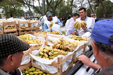 Productores locales criticaron el acuerdo con importadores para congelar el precio de la banana   (Fuente: Télam)