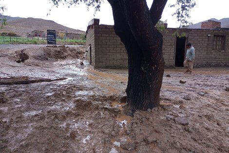 Familias perdieron sus bienes por las crecidas en el paraje Las Cuevas 