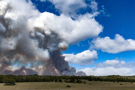 Incendios forestales en Tierra del Fuego: desde la provincia presumen que fueron provocados