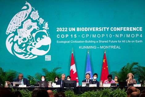 Acuerdo en la Conferencia de la ONU sobre Diversidad Biológica en Montreal