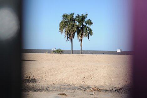 CABA: La Justicia frenó las obras de "BA Playa" en Costanera Norte