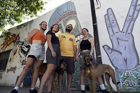 Fiestas populares y colectivas