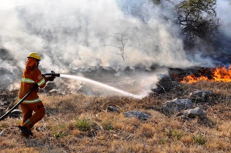 Hay incendios forestales en Corrientes, Entre Ríos, San Luis y Chubut