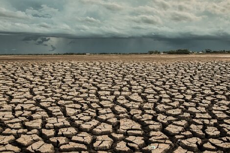 Olas de calor cada vez más intensas, son las conclusiones de un estudio sobre cambio climático