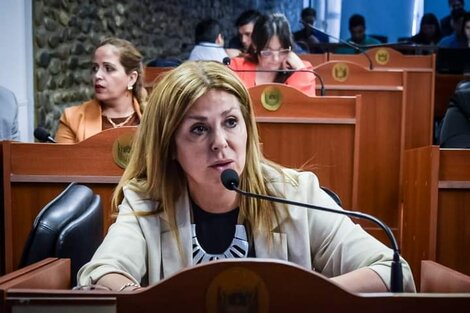 Verónica Mercado, diputada provincial FDT. 
