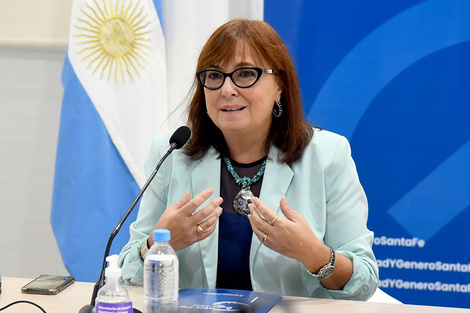 A la ministra de Gobierno Celia Arena le pidieron informes.