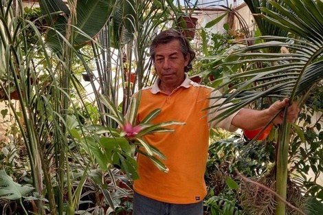 Jorge Quevedo en el vivero de Mendoza, desde donde rearma la historia. 