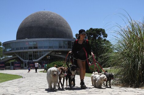 Clima en Buenos Aires: el pronóstico para este lunes 9 de enero