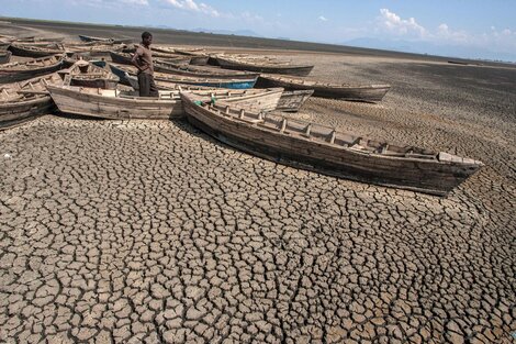 Los últimos 8 años fueron los más calurosos registrados en el mundo