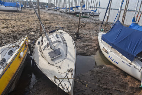 La sequía y la bajante del Paraná causan pérdida de cosechas y mortandad de ganado y peces