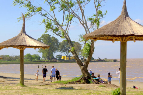 Playa "El Picaflor" en Punta Indio, Provincia de Buenos Aires.  (Fuente: Punta Indio Web)