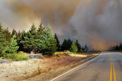 El Hoyo: los incendios podrían controlarse en las próximas 48 horas