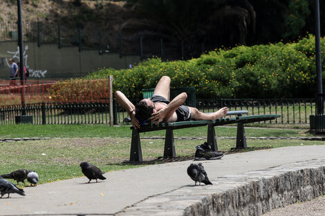 Ola de calor: alerta amarilla por temperaturas peligrosas en el centro y norte del país