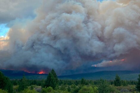 Más de 60 brigadistas trabajan para contener el fuego en Cuesta del Ternero  