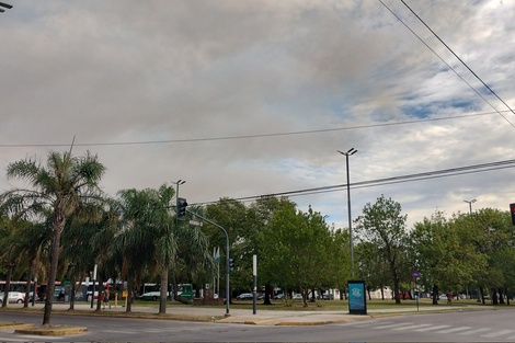 Los bomberos intentan controlar un gran incendio en la Reserva Natural Punta Lara