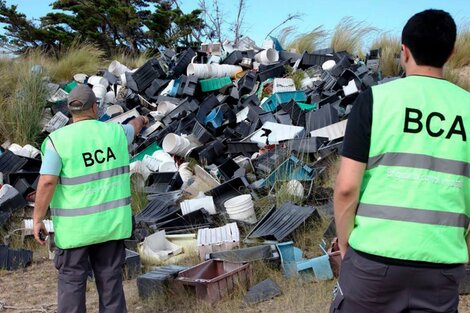 Península Valdés: continúa la limpieza de residuos de la industria pesquera en las playas