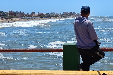 Solo pregunten cuál Gesell