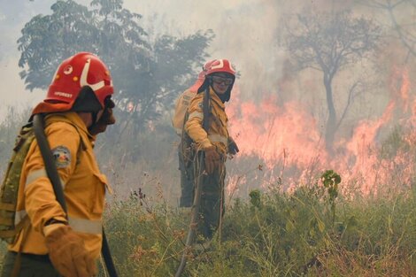 Incendios en Corrientes: hay 17 focos ígneos y advierten por la situación crítica en la provincia