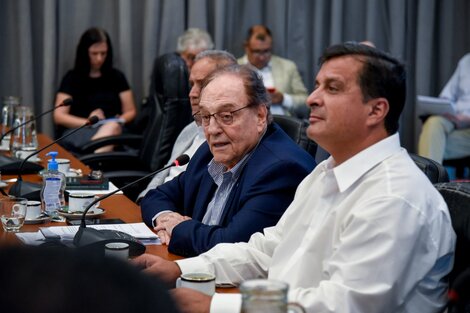 Diputados: dictamen favorable para el proyecto de Monotech 