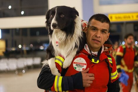 Perros de rescate de México viajaron a Turquía para ayudar en la búsqueda de personas tras el terremoto