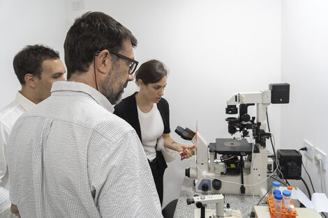 El anuncio se realizó hoy en conferencia de prensa en la Facultad de Agronomía donde se realizó una recorrida por los laboratorios donde se llevan adelante las prácticas e investigaciones.