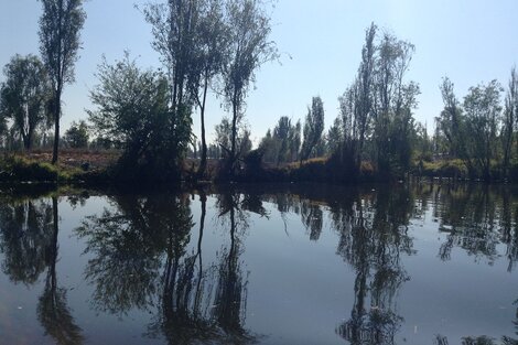 México: vecinos frenan la construcción de una base militar en el vivero de Xochimilco