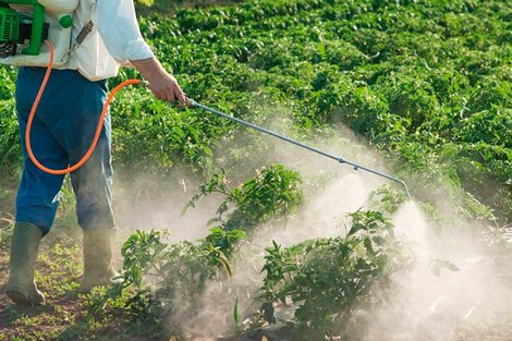 Una investigación confirma vínculos entre agua, agroquímicos y cáncer