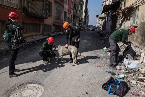 Un nuevo sismo sacude el sur de Turquía