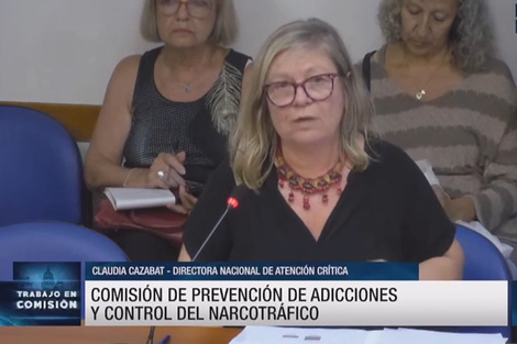 Diputados: organizaciones y expertos discutieron la situación actual de la Ley sobre Salud Mental