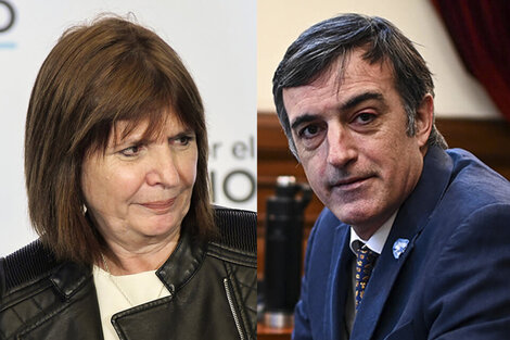 Bullrich versus Bullrich