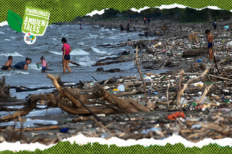 Basura marítima en Islas Galápagos: cómo los habitantes del lugar se organizaron para limpiar las playas