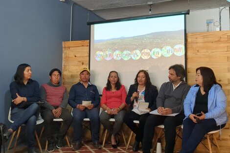 Pueblos indígenas de México celebran decisión del gobierno de no otorgar concesión a minera canadiense