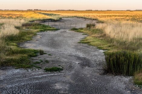 Los rios, sin agua hace tiempo