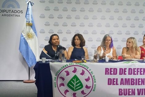 “Las mujeres indígenas ponemos el cuerpo en el conflicto”