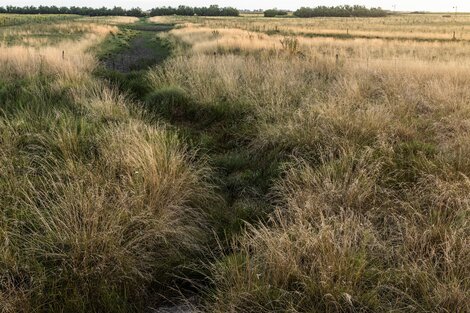 Una pérdida de ingresos de 15 a 20.000 millones de dólares.