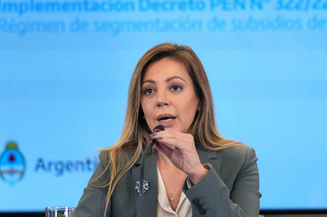 Flavia Royón sobre la intervención de Edesur: "No es una estatización"