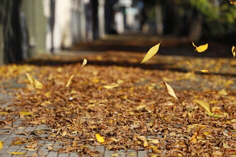 Tangos para el Otoño