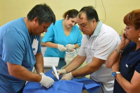 Mariano Gaido (izq.) acusado de ejercer la medicina ilegalmente.