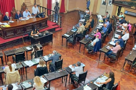 Debate en Diputados sobre el trato y la salud de animales mascotas