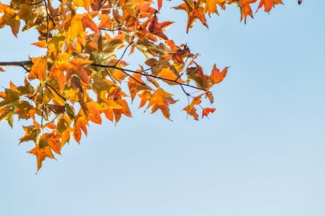 Clima en Buenos Aires: el pronóstico del tiempo para este miércoles 22 de marzo 