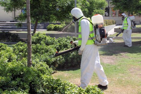 Fumigaciones para reducir la población de Aedes aegypti. Imagen: NA.