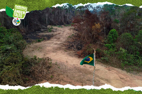 Los peores índices de deforestación fueron registrados en 1995, con 29.000 kilómetros cuadrados talados en tan solo un año.  (Fuente: AFP)