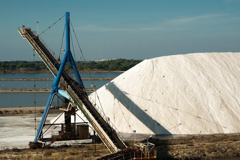 Dos proyectos de producción ya están en marcha y otros cinco en proceso