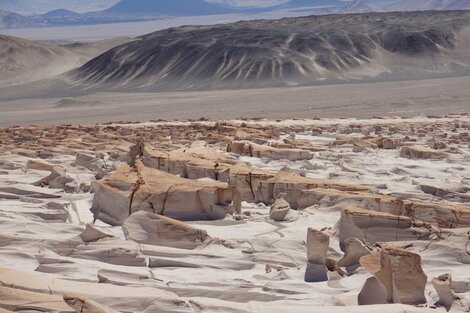 Campo de Piedra Pomes, Antofagasta de la Sierra, Catamarca. 