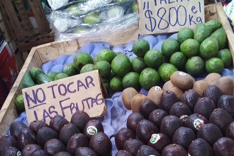 La palta seguirá por las nubes en 2023