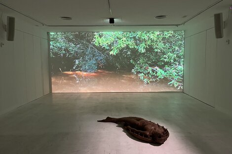 Mujer-pez (“pejerreina”) de arcilla y video; instalación de Adriana Bustos. Abajo: Detalle de la extensa carta de navegación de A. Bustos.