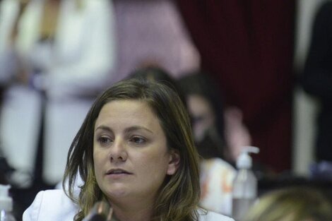 Vanesa Siley: "Pretenden una hegemonía del sector judicial en el Consejo de la Magistratura"