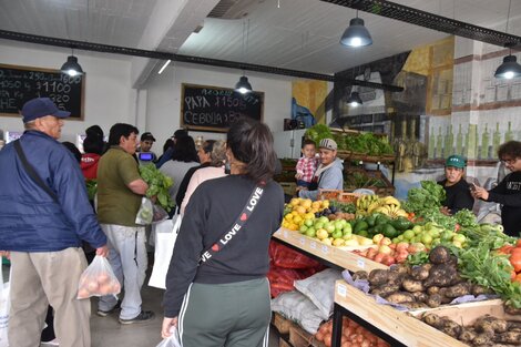 Almacenes populares: una apuesta para fijar precios testigo