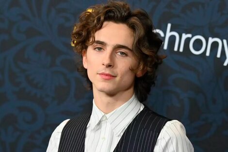 Timothée Chalamet será Bob Dylan 