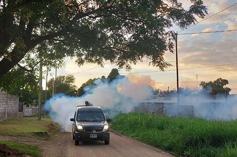 Fumigación contra el dengue en la Municipalidad de la ciudad de Córdoba.